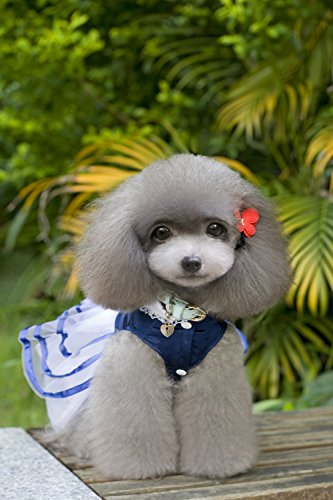 Clopon 3Pcs Dogs Dresses For Medium Dogs Girl Cute Pets Blue Pink Tutu Dresses Party Costumes L #TOP3