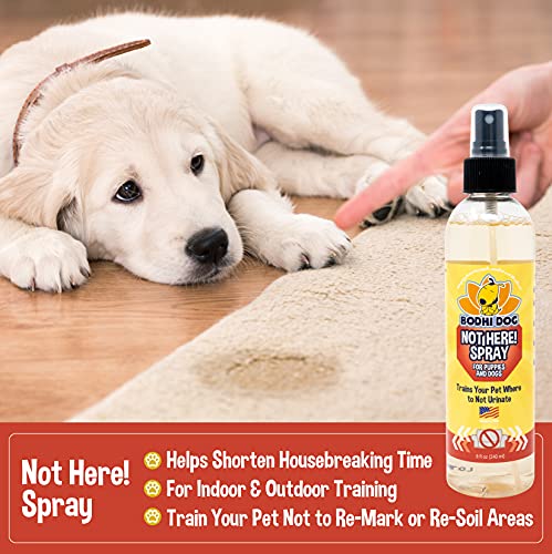 image for Bodhi Dog Not Here Spray - Trains Your Pet Where Not to Pee Indoors or