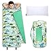 Wildkin Dinomite Dinosaur Original Nap Mat