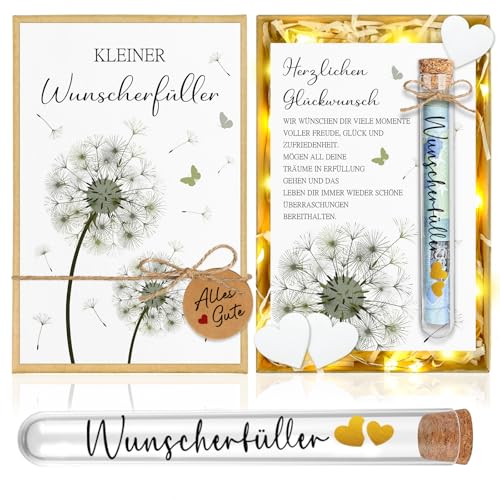 Wunscherfüller Geldgeschenk Verpackung Geschenkbox mit LED Lichterkette, Geld Geschenke für Frauen Freundin - Geburtstag Nikolaus Weihnachtsgeschenke, Geschenkverpackung Gutschein Weihnachten