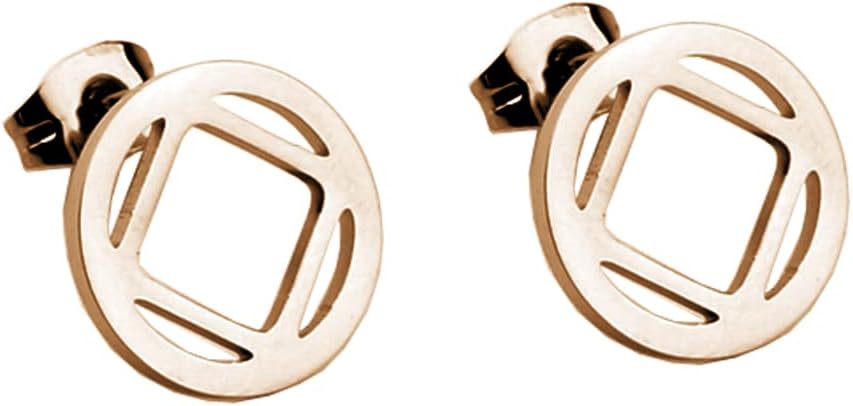NA Earring Recovery Sobriety Gift Narcotics Anonymous Jewelry