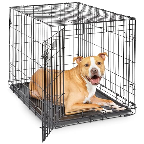 MidWest Homes for Pets Modèle 1536DDU Cage pour chiens iCrate 90,42 cm, modèle amélioré, une porte, comprenant un bac étanche, des pieds protégeant le...