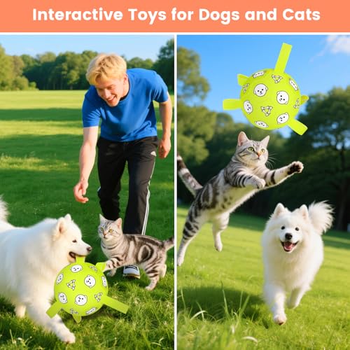 Image of 6 Inch Dog Soccer Ball, Interactive Dog Toys for Small Dogs | Floating Water Toys, Jolly Ball with Straps, Durable Outdoor Training Dogs Tug Toy, Outside Pet Toys, Birthday Gift for Puppy