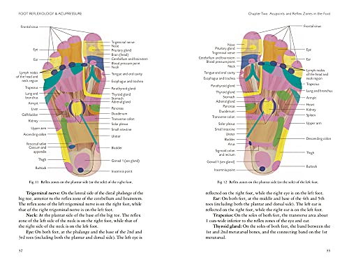 Foot Reflexology & Acupressure: A Natural Way to Health Through Traditional Chinese Medicine