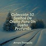 Plan Para El Éxito