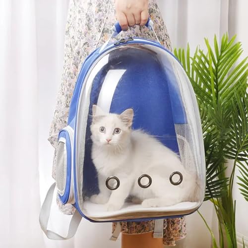 Image of VAYINATO Transparent Portable Pet Backpack Travel Carrier, Convenient Travel for Small Dog and Cat | Waterproof, Comfortable and Breathable by Petzlifeworld (Blue)