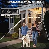 Zoom IMG-1 ftl plafoniera con sensore di Zoom IMG-1 ftl plafoniera con sensore di