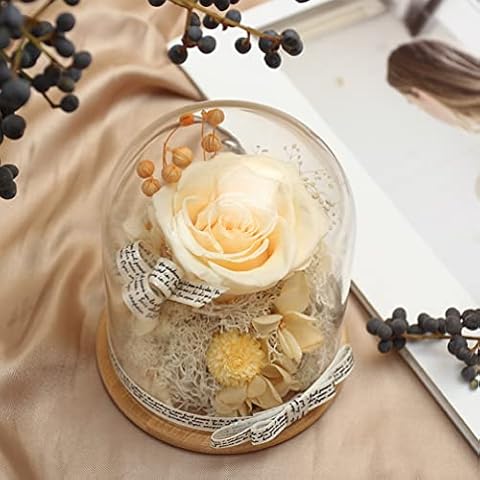ANGOSUFI Preserved Roses, Real Roses in The Glass Dome, Creative Gifts for Mom Wife Girlfriend on Valentines, Birthday, Mothers Day, Christmas (Champagne) Cover