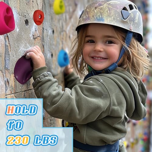 image for SREHRLY 20 PCS Rock Climbing Wall for Kids,Rock Wall Climbing Holds,Ad