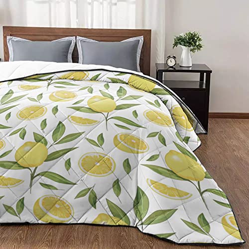 T&H XHome Quilt California King Luxury Quilted Comforter Bedspread-Thin Soft Cozy, Retro Summer Lemon Reversible Stitched Summer Lightweight Quilt Coverlet for All Season California King