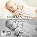Motorola MBP36S-2 Video Baby Monitor -Two Cameras, 3.5
