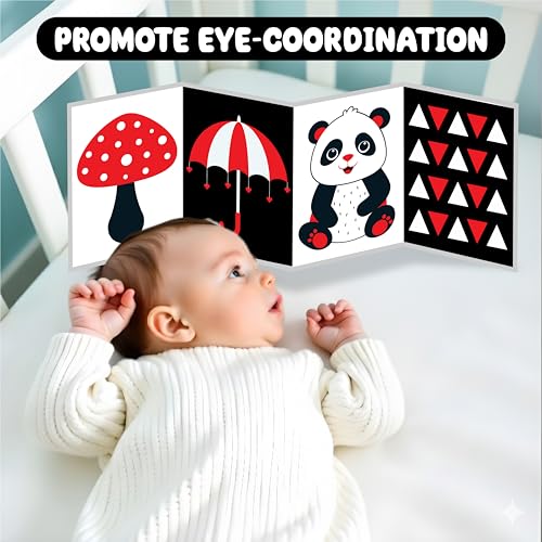 Image of High Contrast Flash Card Busy Book for Babies & Infants (2 Busy Books, Black & White + Red) | 16 Objects & Patterns | Tummy Time Toy for 0, 3, 6, 9, 12, 18 Months | Fun Learning for Newborn