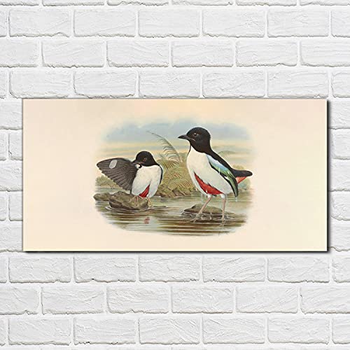 Tableau en verre 100x50 cm d'animaux sauvages d'oiseaux