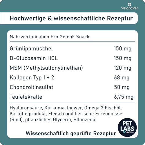 VeloraVet Grünlippmuschel Gelenktabletten Hund – HOCHDOSIERT mit Grünlippmuschelpulver, MSM, Teufelskralle, Glucosamin & Kollagen – Keine Kapseln, hohe Akzeptanz – Gelenk- & Knochenschutz – 60 Stück