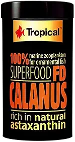FD CALANUS - ração com 100% do zooplâncton marinho para peixes ornamentais e rica em astaxantina natural - Pote 12g
