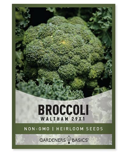 Gardeners Basics, Broccoli Seeds for Planting is A Great Heirloom, Non-GMO Vegetable Variety- 1 Gram...