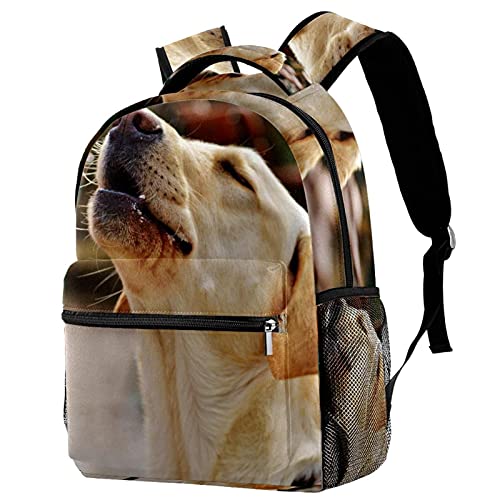 Sac à dos de voyage pour fille et garçon motif labrador pour ne plus perdre sa gourde