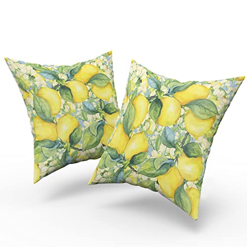 Aportt Lemon Pillow Cover Set Of 2 Summer Fruit Cotton Decorative Throw Pillows Cushion Cover For Bedroom Sofa Living Room Couch Chair Office 18 X 18 Inch #TOP1