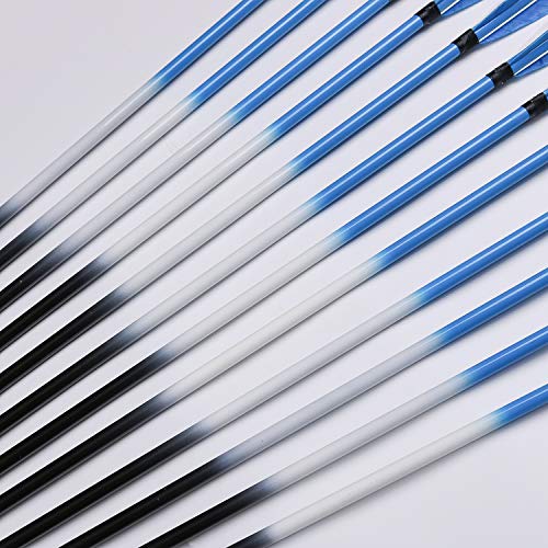 Feather Arrows 31" Archery Hunting Arrows Carbon Targeting Practice Feather Fletching Arrows for Recurve Bows and Longbow with Removable Tips