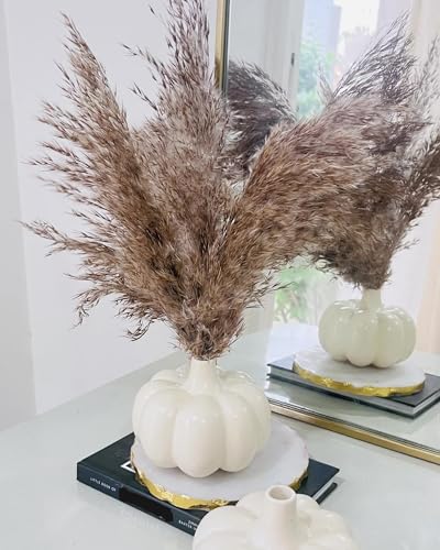 Bliss Hohm Pumpkin Ceramic Flower Vase for Home Decor and Gifting, Flower Vase for Living Room, Pampas Grass Vases, Ceramic Small Vases (Off-White Pumpkin)