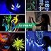 12 Colors Glow in The Dark Powder with UV Lamp, Skin Safe Epoxy Resin Luminous Pigment for Nail Polish, Slime, Acrylic Paint, 240g in Shake Jars