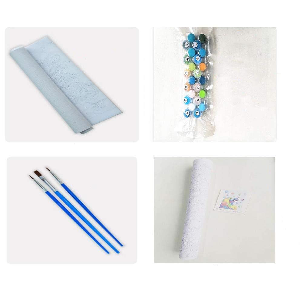 eniref Paint by Numbers for Adults, Paint by Numbers for Adults Beginner Blue Door with Flower, Acrylic Paint Adults' Paint-by-Number Kits Home Decor 16X20Inch