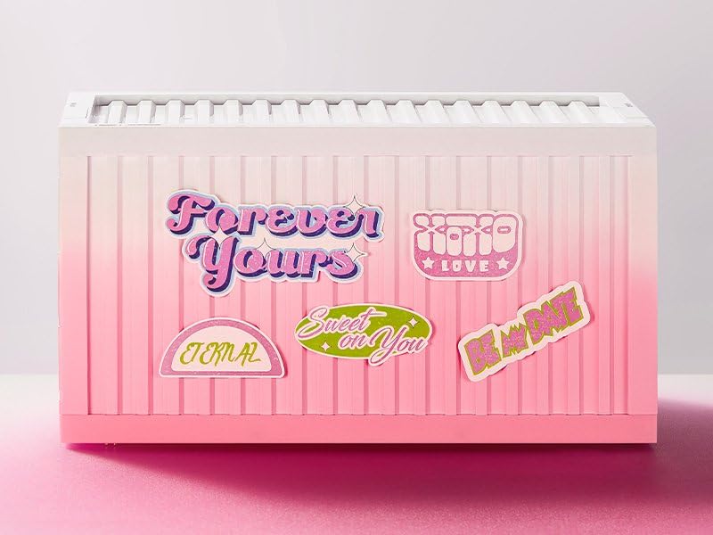 Amazon.co.jp: POP MART ルミナス コンテナボックス Take My Heart  