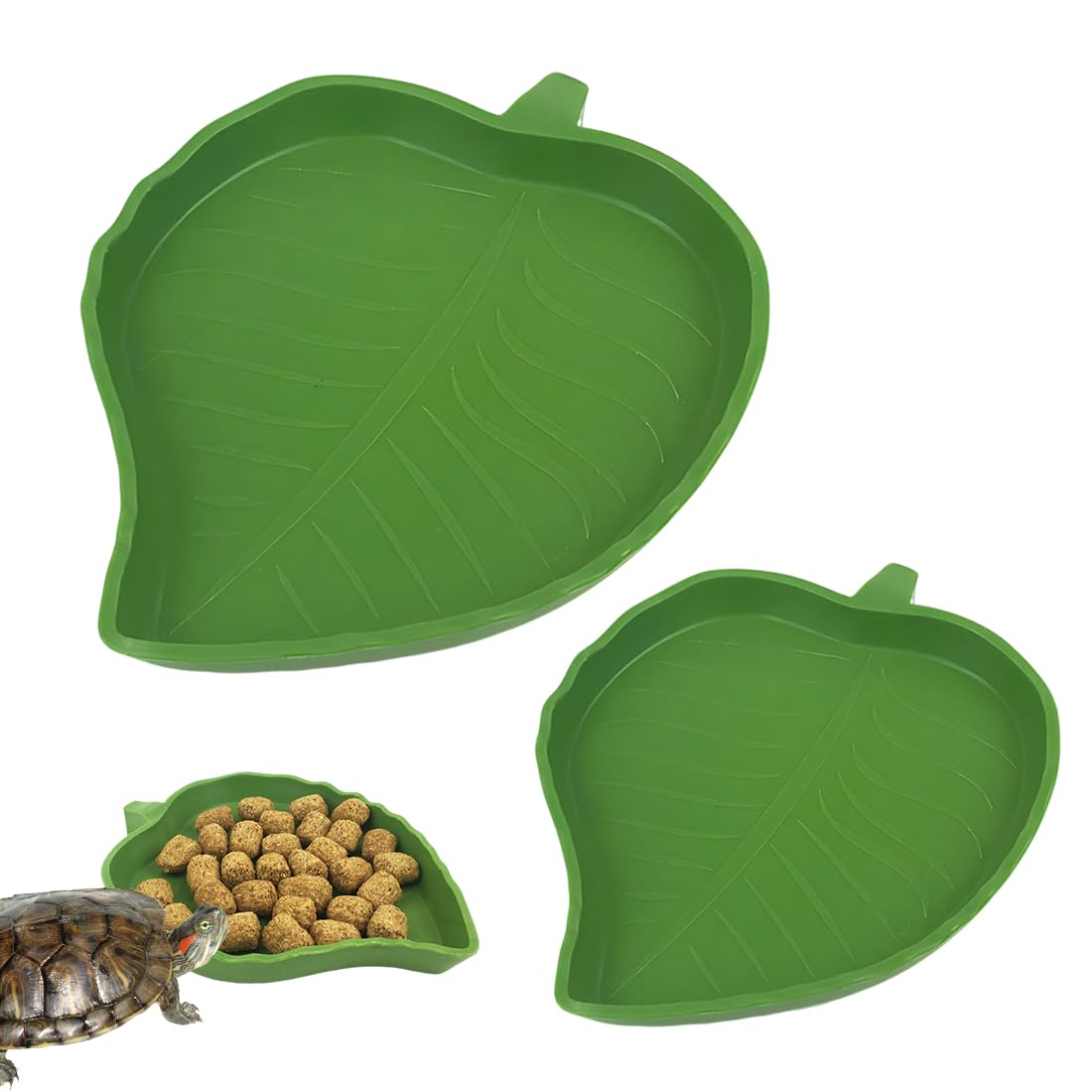 Terrarium Tortue Terrestre 2 Pièces Bols Eau Nourriture, Gamelles Reptiles Vert Forme Mangue Aile Taille Grand Petit