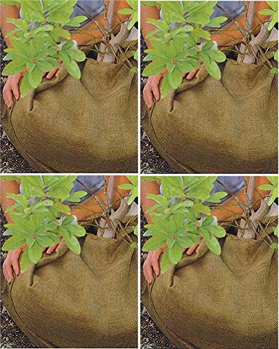 Dewitt 3-Foot by 48-Foot Burlap NB348 (Pack of 4)