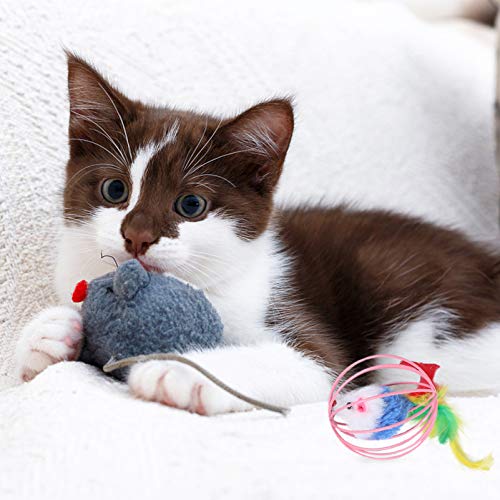 Balacoo 5 peças de brinquedos de pelúcia para gatos, brinquedo de brinquedo de brinquedo de gato fal