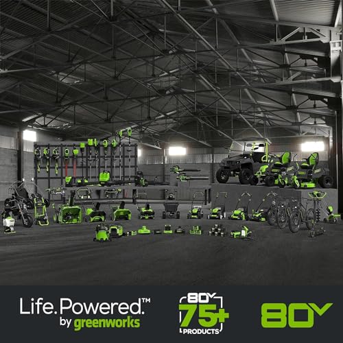 Image of Greenworks 80V 8.0Ah Lithium-Ion Battery (Genuine Greenworks Battery / 75+ Compatible Tools)