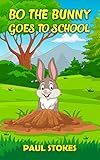 bo bunny transfer solution  Bo The Bunny (English Edition)