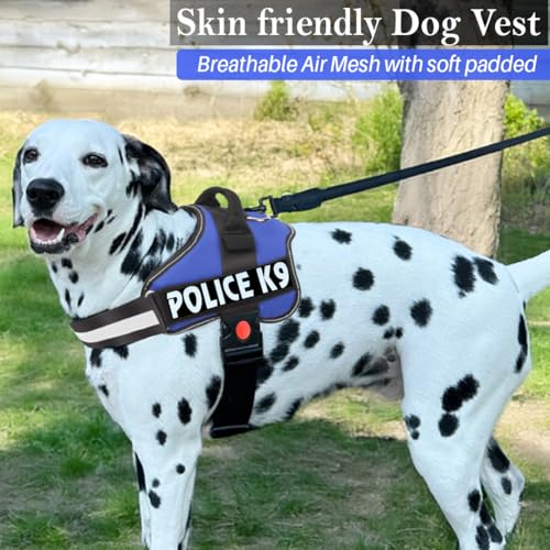Image of Berlin's Police K9 Dog Harness with Leash, Dog Vest with Handle, Reflective Adjustable No-Pull Harness for Dogs Heavy Duty Nylon, for Training, Patrol, Hiking (Blue, XL (36Kg Above))