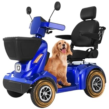 4 wheel off road scooter for adults