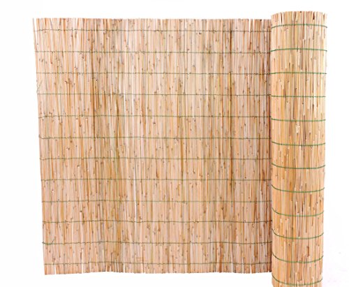 Preisvergleich Produktbild Schilfrohrmatte geschält 100x600 "Deluxe" von bambus-discount - Sichtschutzzäune Sichtschutzwand Gartensichtschutz Balkonsichtschutz Windschutz Sichtschutzwand für Garten und Terasse Blickschutz für Balkon Sichtschutzwände Sichtschutzwände