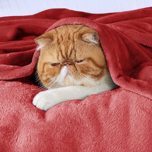 Image of VAS COLLECTIONS Premium Plush Double Blanket | 300 GSM Lightweight Cozy Soft for Bed, Sofa, Couch, Travel & Camping| 220X230 Cm Or 86X90 Inches | Maroon