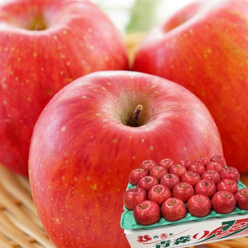  xTӂ 5kg 18?20 ؏X XY S t[c ʕ O