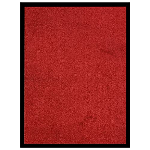 Fisinber Felpudo rojo, 60 x 80 cm, 100% polipropileno, superficie de terciopelo, antideslizante, parte inferior de vinilo, moderna, resistente, duradera, pasillo, entrada, exterior cubierto