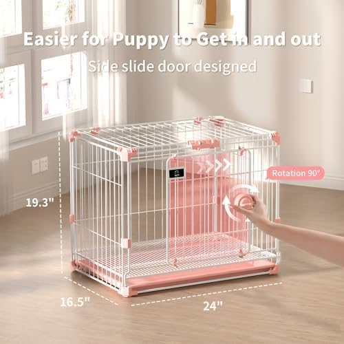 https://m.media-amazon.com/images/I/51+RHaoCVjL._AC_.jpg