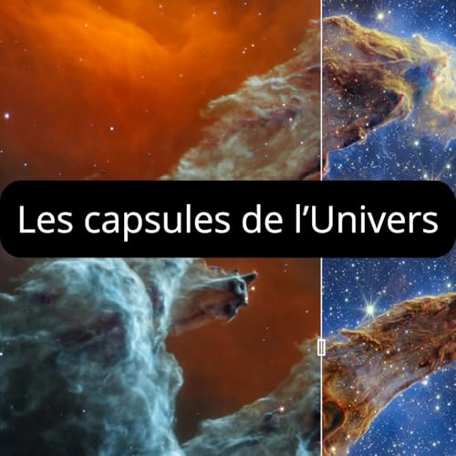 Page de couverture de Les capsules de l'Univers