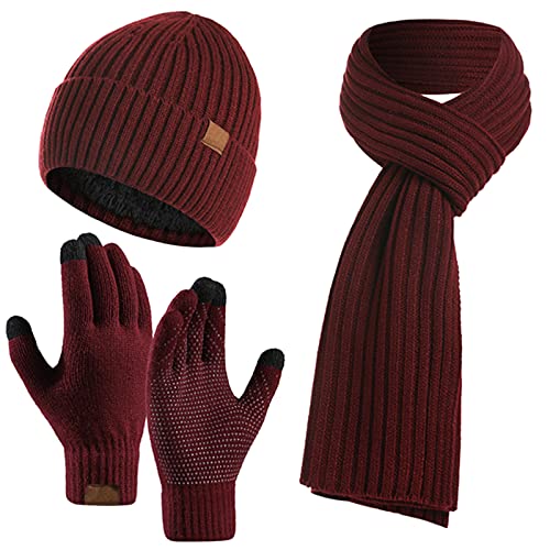 3PCS Winter Unisex Hat Scarf Gloves Set Warm Knit Beanie Hat Touchscreen Gloves Long Scarf Outfit for Men and Women