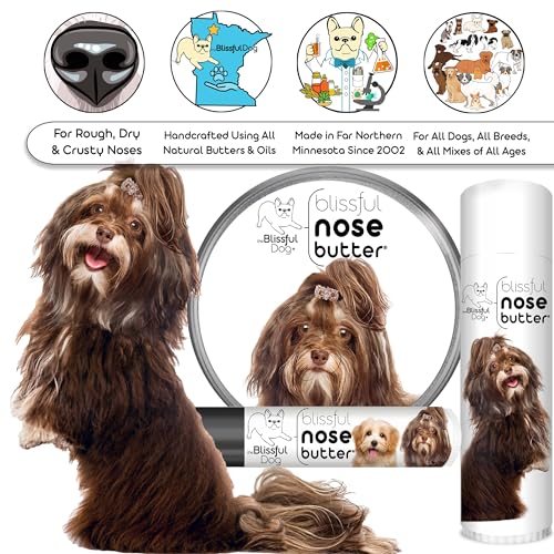 Image of The Blissful Dog Havanese Unscented Nose Butter - Dog Nose Butter, 2 Ounce