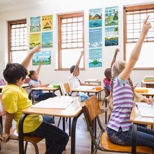 Image of Pasimy 11 Pcs Science Biology Posters Classroom Ecosystems Teaching Poster Ecosystems Biological Food Chain Bulletin Board for Classroom Decoration Teacher Middle High School Educational Library Home