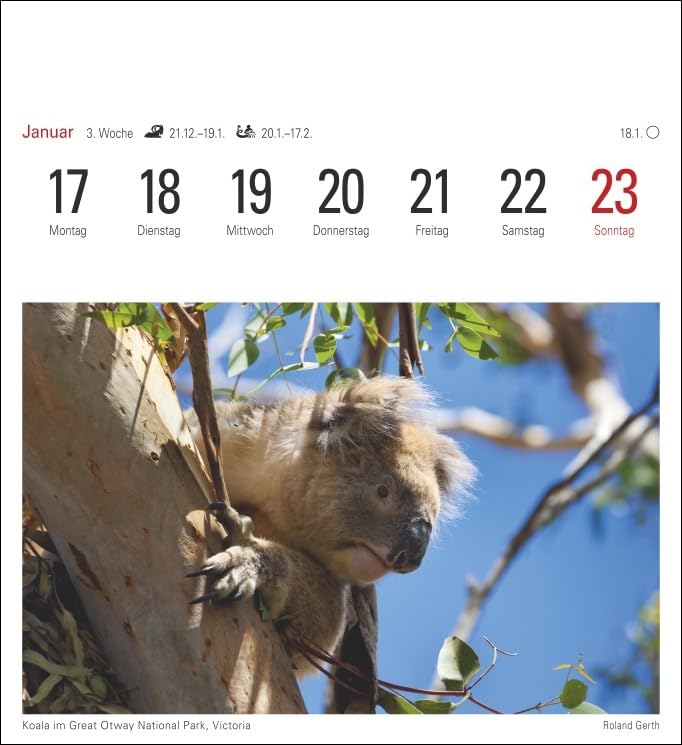 Australien Kalender 2022: Sehnsuchtskalender, 53 Postkarten