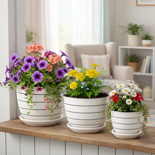 Image of Xtore Elegant Striped Ceramic Planter Set of 3 with Drainage Trays | Minimalist Indoor Plant Pots for Home, Office, Balcony & Tabletop Styling (Pack of 3 - Planter only)