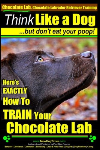 Chocolate Lab, Chocolate Labrador Retriever Traini: Here's EXACTLY How To TRAIN Your Chocolate Lab
