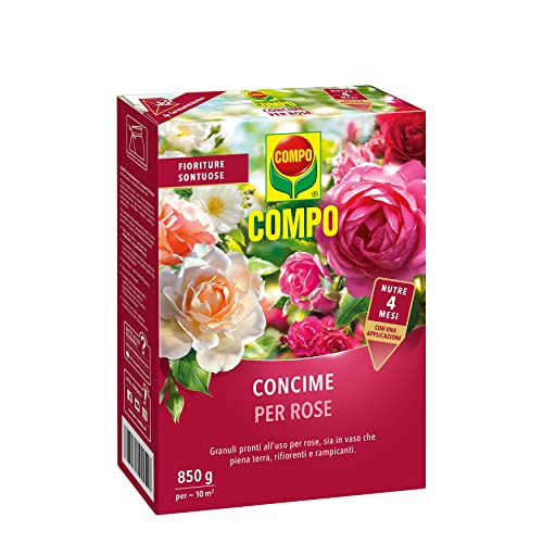 COMPO Concime per Rose, Granuli Pronti all'Uso per Rose in Vaso, in Piena Terra, Rifiorenti e...
