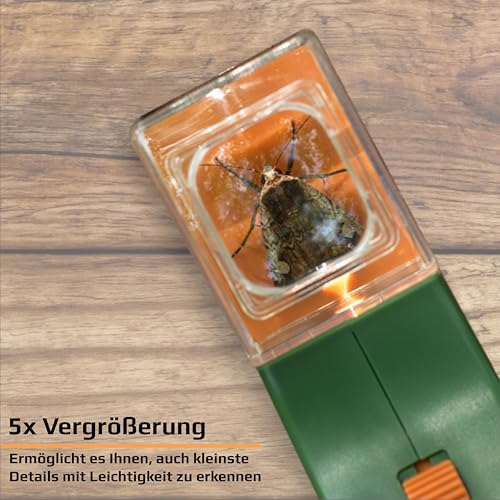 Carson BugView Lebend-Insektenfänger und Forscherlupe, ideal als Entdeckerspielzeug und Haushaltshilfe (HU-10)