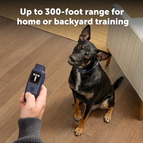 PetSafe Basic Dog Trainer with Remote, 300 Ft Range, 8 Static Levels - image 7