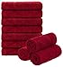 Produktbild Brandsseller 10er Set Seiftücher Waschlappen Gästehandtücher Reiskornoptik Bad/Haushalt 30x30cm 100% Baumwolle 470 g/qm (30x30 cm, Rot)